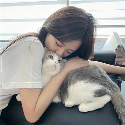 寻找法蒂玛